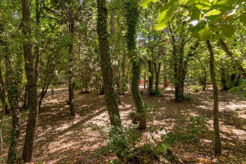 Ln Etna House-Villa Ad Uso Esclusivo Pedara Kültér fotó